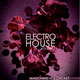 8DM Electro House Vol.2 [DVD]