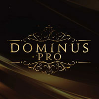 Fluffy Audio Dominus Choir Pro [12 DVD]