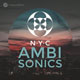 Pro Sound Effects Library NYC Ambisonics