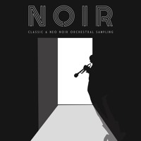 Sonokinetic Noir v1.2 [17 DVD]