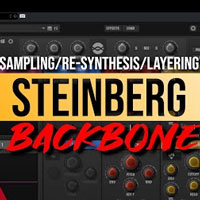 Steinberg BackBone