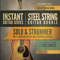 8Dio Steel String Guitar Bundle
