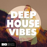 Big EDM Deep House Vibes