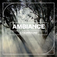 Blastwave FX - Ambiance 5.1 Surround