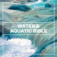Blastwave FX Water and Aquatic Bible