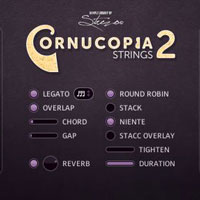 Cornucopia String Ensembles 2