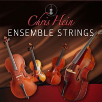 Chris Hein Ensemble Strings