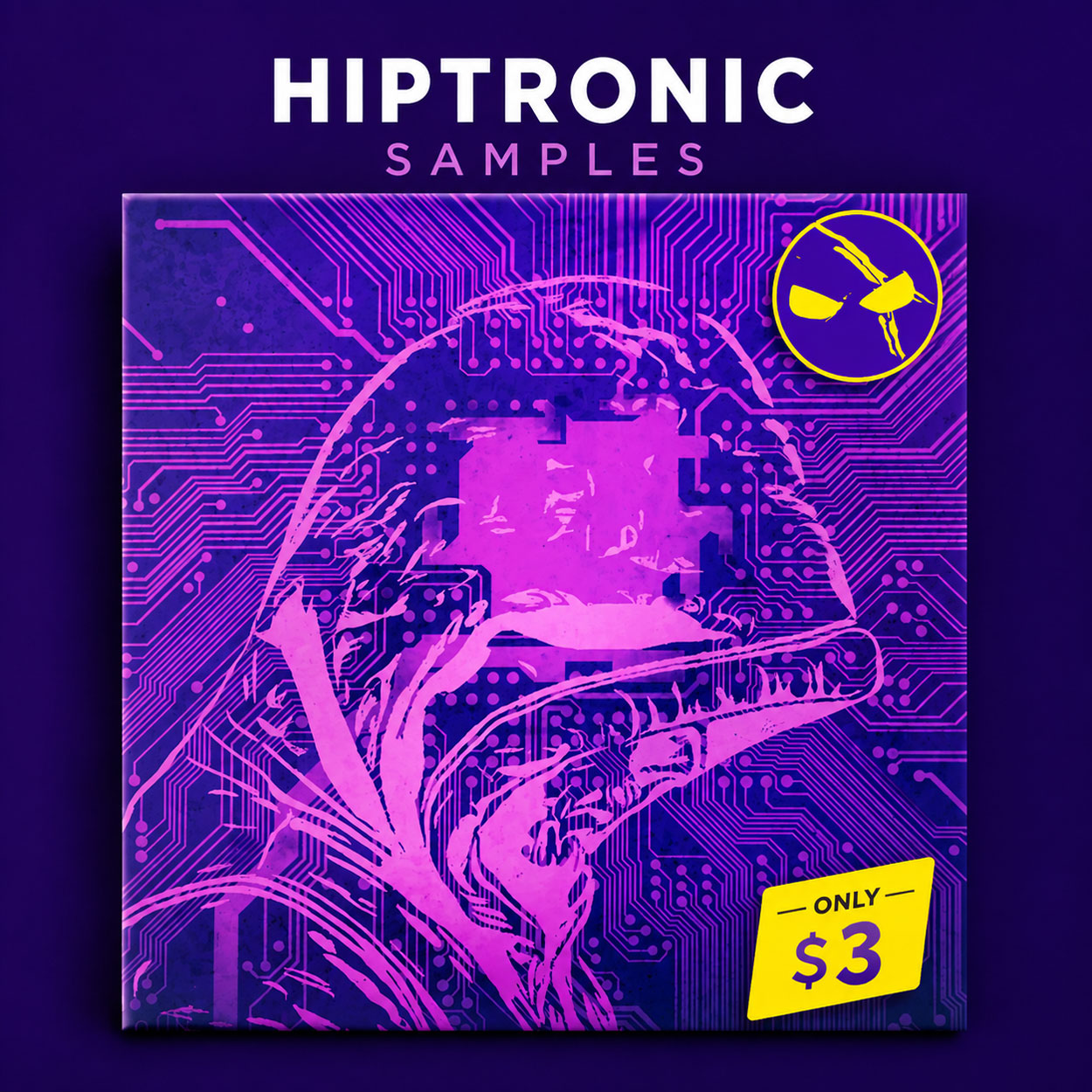 Dabro Music Samples Hiptronic Samples