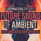 Future Sound of Ambient [DVD]