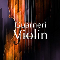 Native Instruments Guarneri Violin v1.2