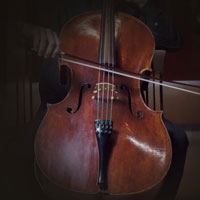 Native Instruments Stradivari Cello v.1.0