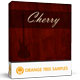 Cherry Electric Bass [DVD]