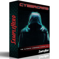 SampleHero Cyber Crime