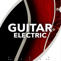 Sonex Audio Electric Guitars