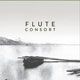 BML Flute Consort Vol.1 [3 DVD]
