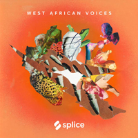 Splice Sessions West African Voices