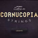 Strezov Sampling Cornucopia Strings v1.4