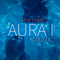 The New Rhythmic Aura Vol.1
