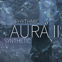 The New Rhythmic Aura Vol.2