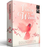 Voice of Wind Adey