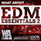 What About EDM Essentials 2 [DVD]