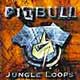 Pitbull Jungle Loops